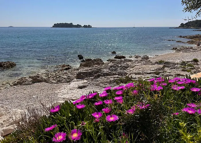 Anthony * Rovinj